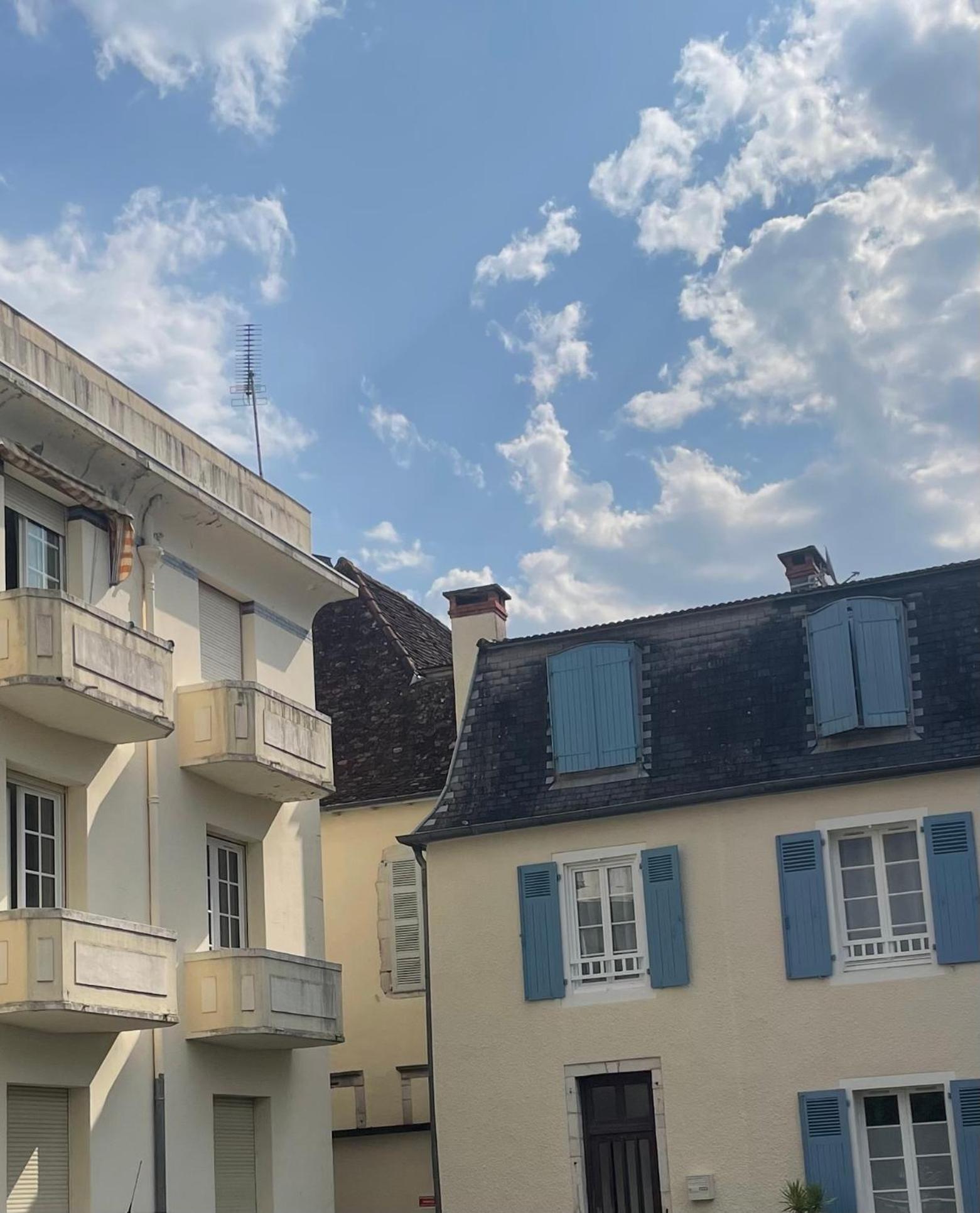 Studio Lumineux Au Calme En Centre Ville, Face Aux Thermes Salies-de-Béarn Extérieur photo